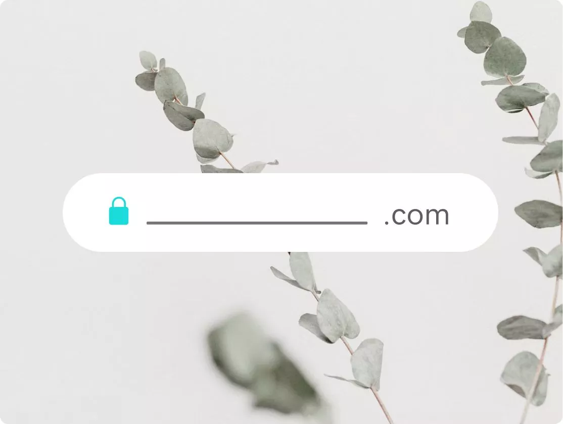 multi feat domains 556x420 2x